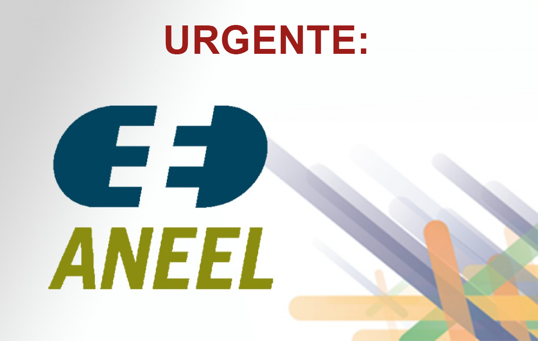 aneel-1-116-976